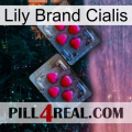 Lily Brand Cialis 14